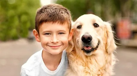 Golden e menino