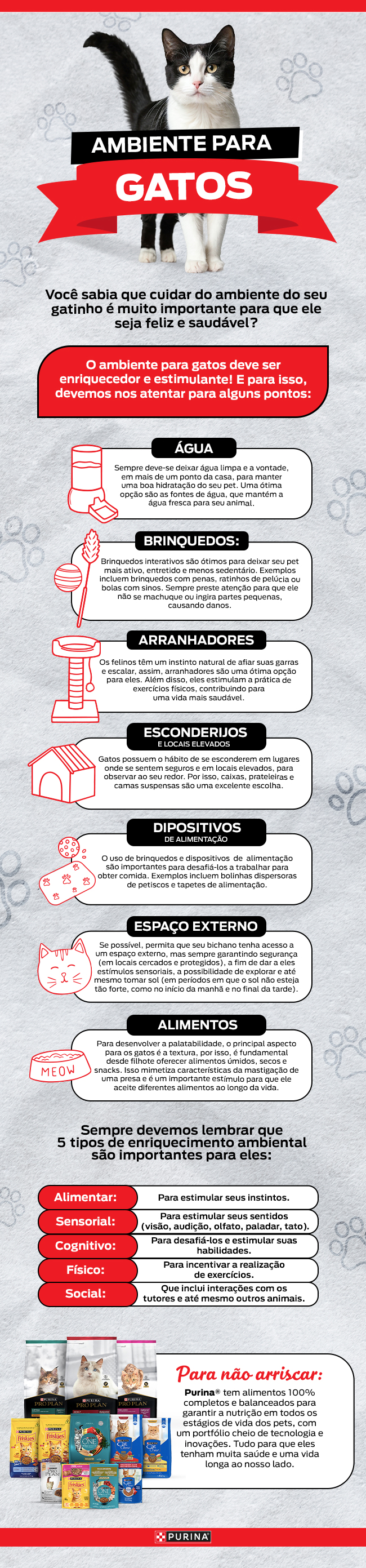 ambiente_para_gatos